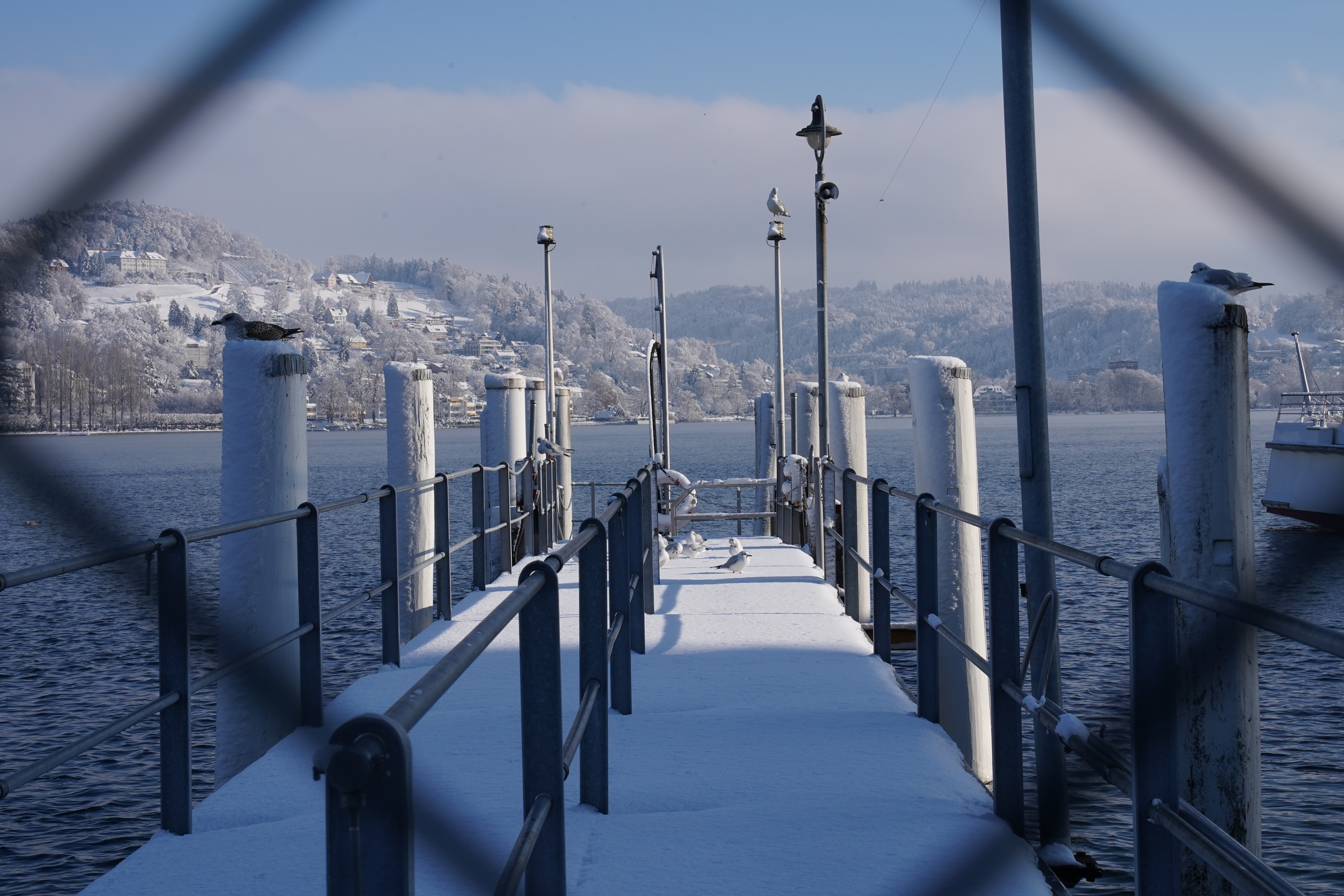 Snow-covered dock at Lake Lucerne, birds perched on posts, winter morning