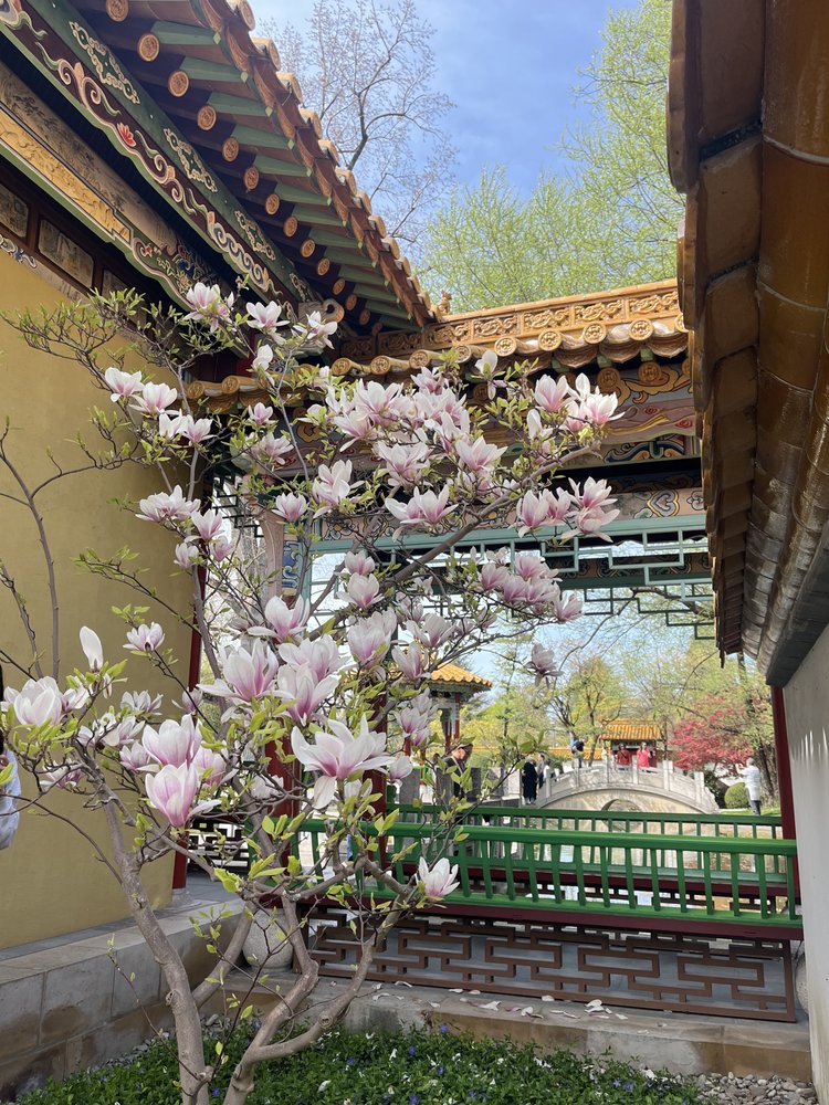 Chinese Garden in Zurich, gift from Kunming
