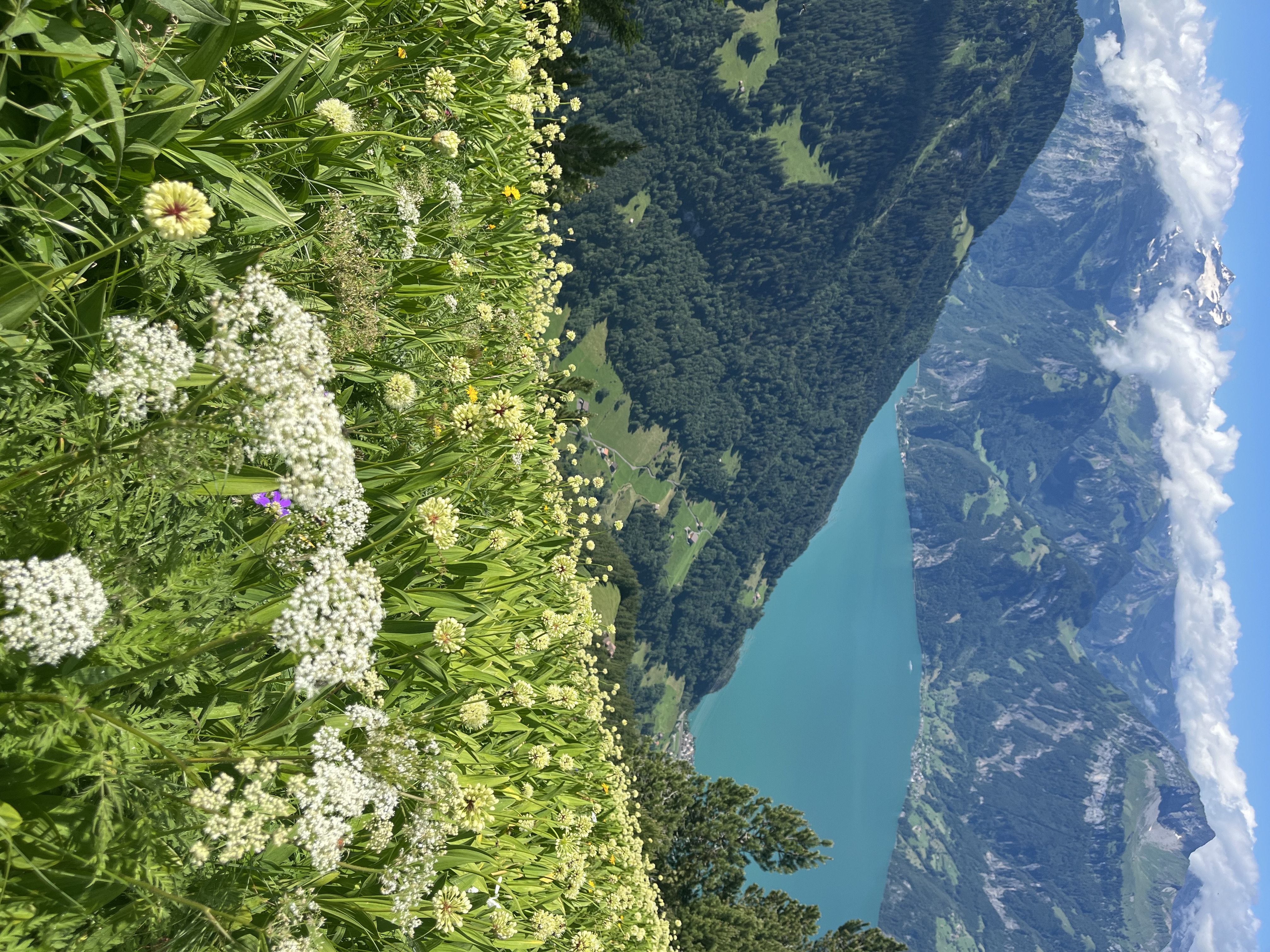 Stoos Ridge, Switzerland
